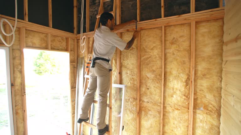 Eco-Friendly or Green Insulation Solutions in Violet, LA